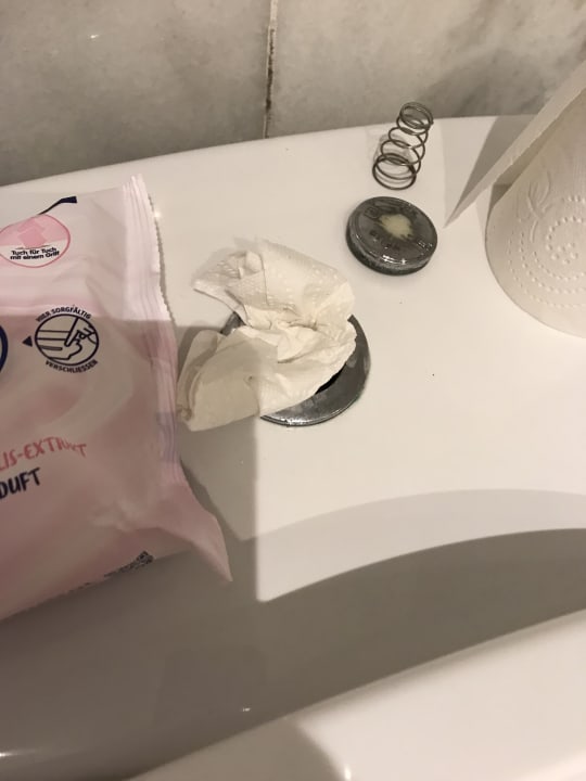 Zimmer Alp Pasa Hotel - Special Class