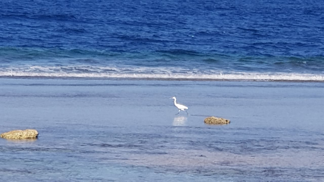 Strand Three Corners Sea Beach Resort