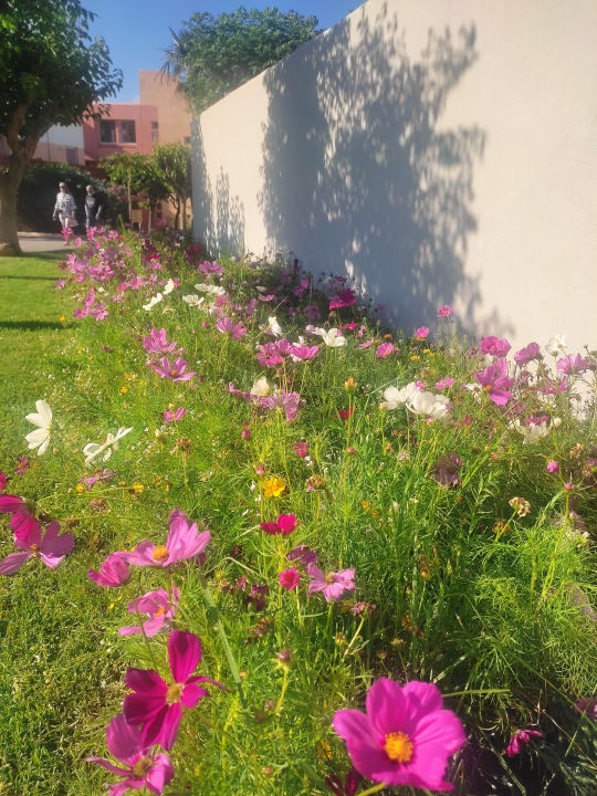 Gartenanlage Anissa Beach & Village