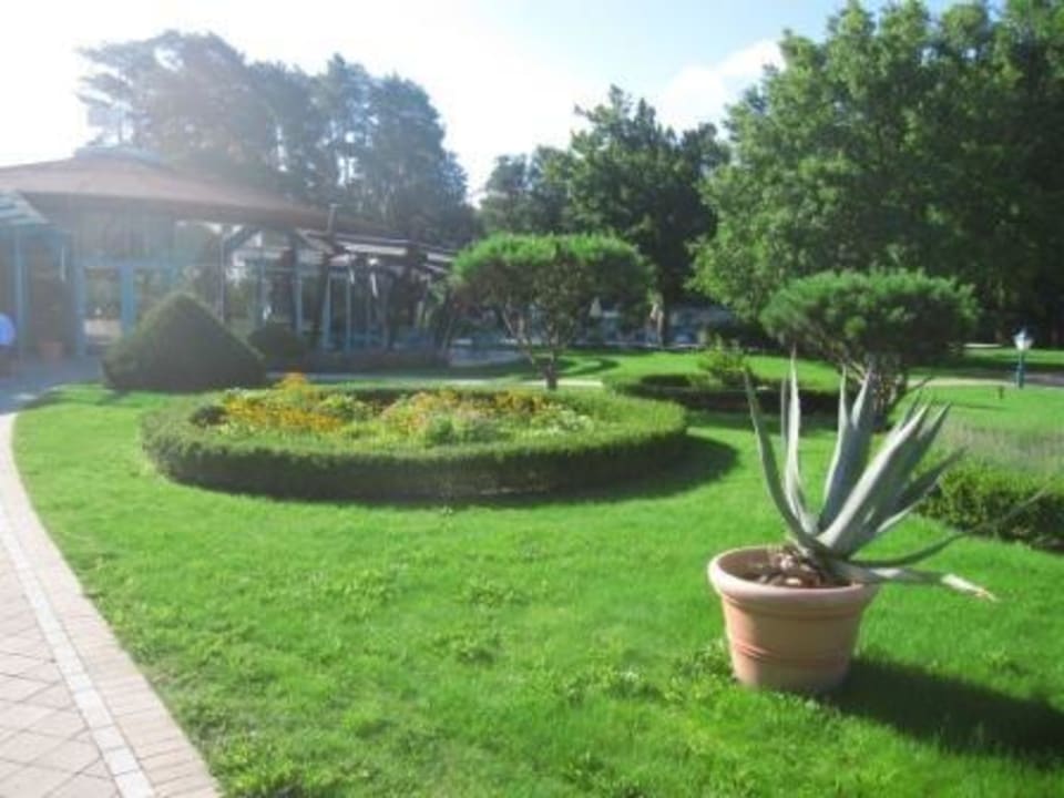 Gartenanlage auf dem Weg zu den Restaurants Hotel Bernstein Prerow