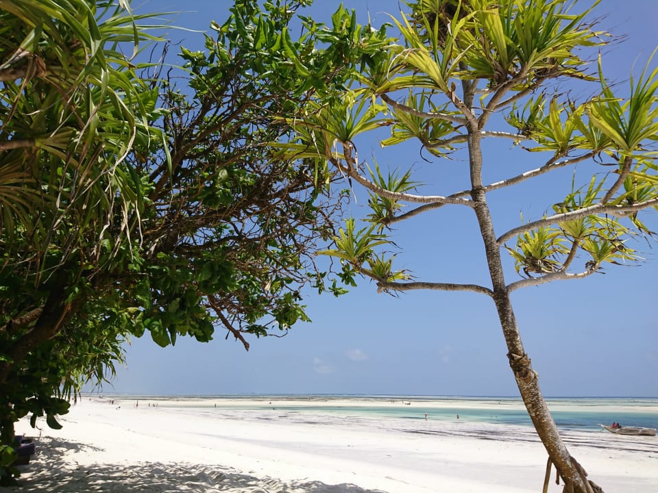 Strand Neptune Pwani Beach Resort & Spa