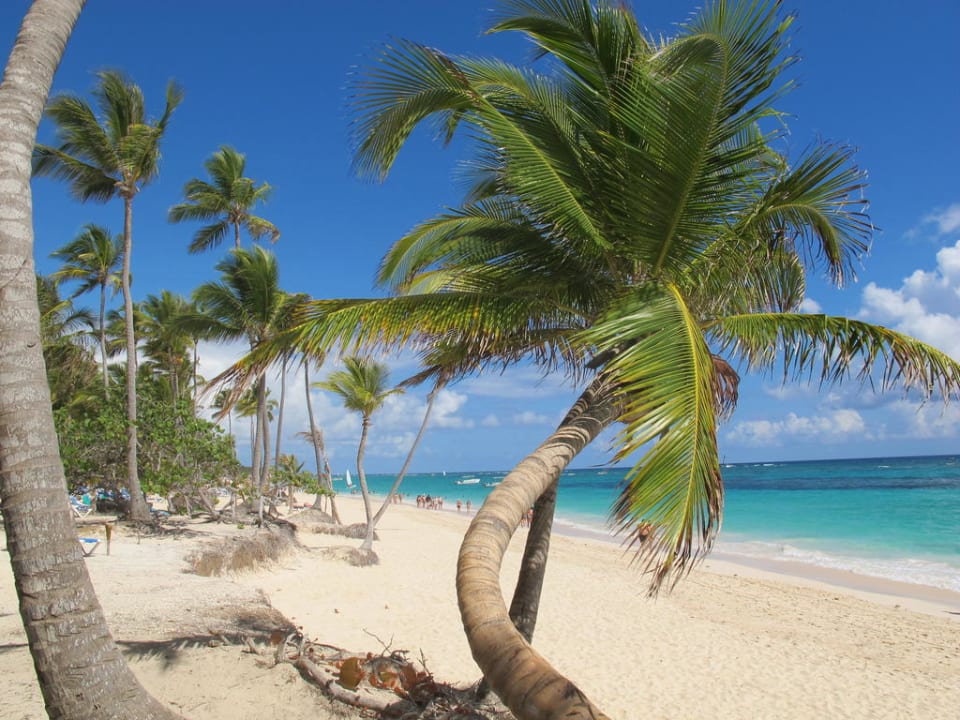 Traumhaft, ca. 1 km nach rechts Iberostar Selection Bavaro Suites