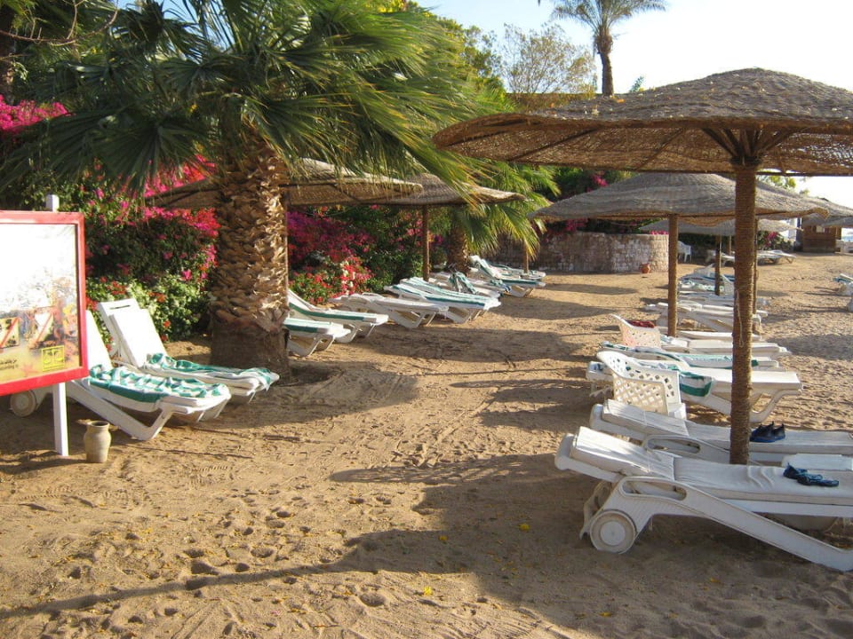 Das sind sie Fort Arabesque Resort, Spa & Villas