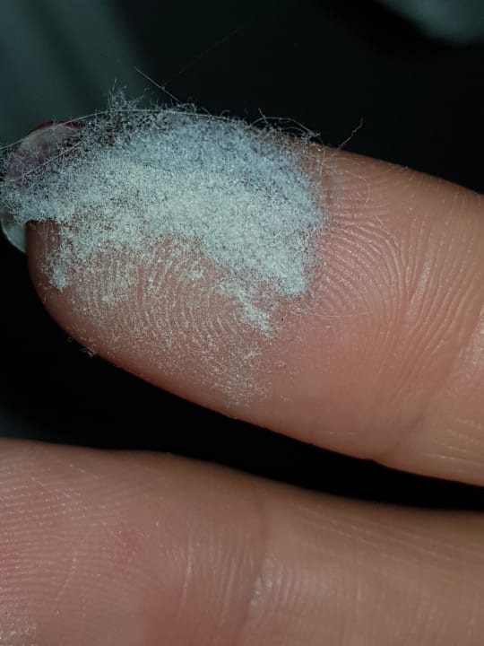 Zimmer Europa Hotel Kühlungsborn