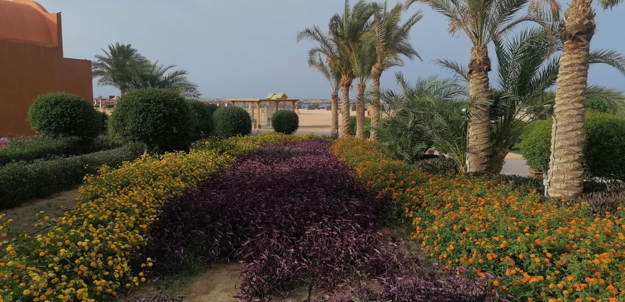 Garten Novotel Marsa Alam Beach Resort