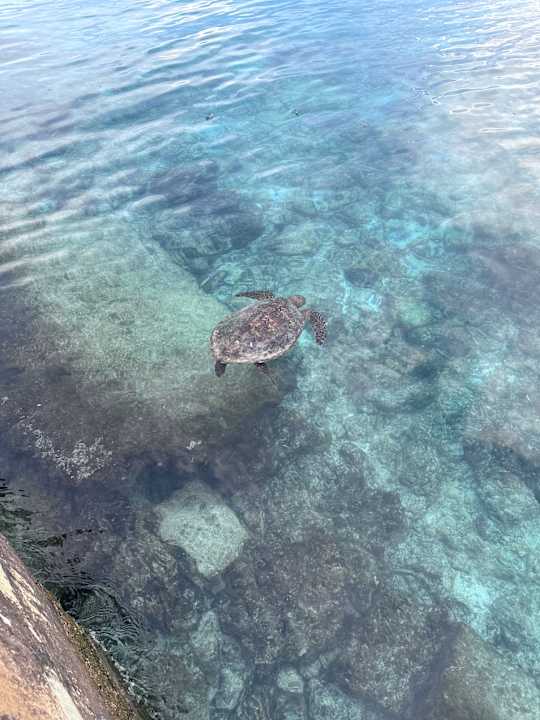 Strand Sun Siyam Olhuveli