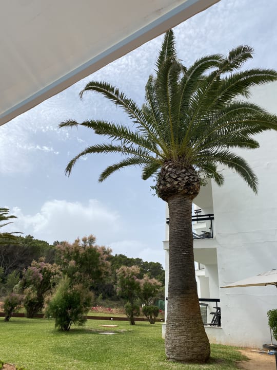 Außenansicht Grand Palladium Select Palace Ibiza