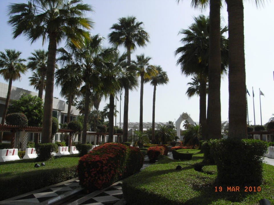 Palmenpark Sheraton Jeddah Hotel & Resort