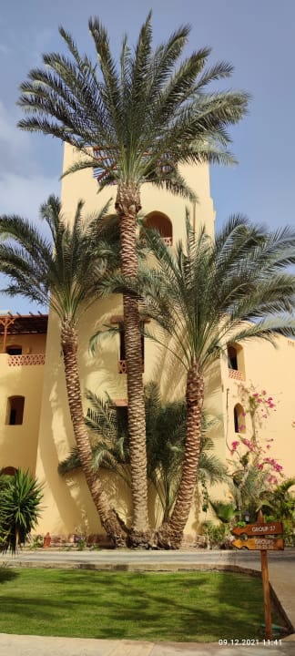 Ausblick Steigenberger Coraya Beach - Adults only