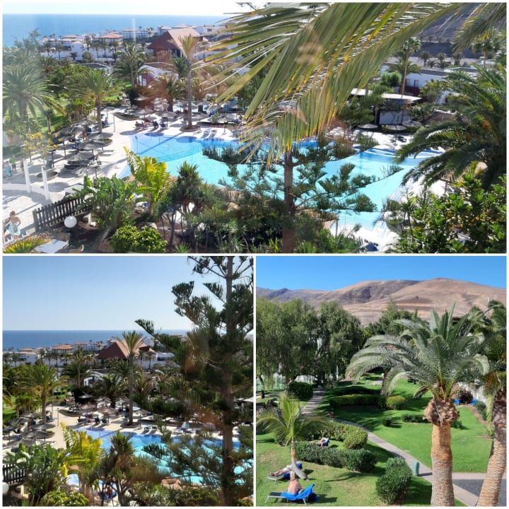 Ausblick allsun App.-Hotel Esquinzo Beach