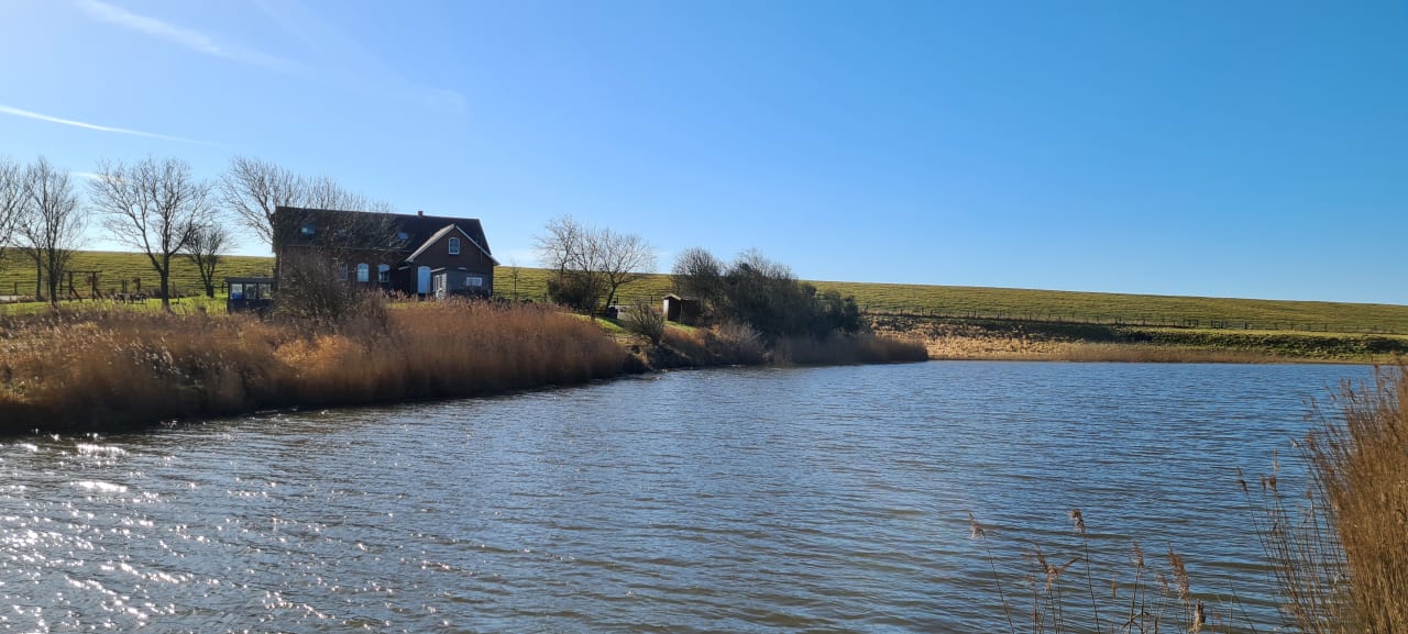 Außenansicht Ferienhaus Hemenswarft direkt an der Nordsee mit Meerblick