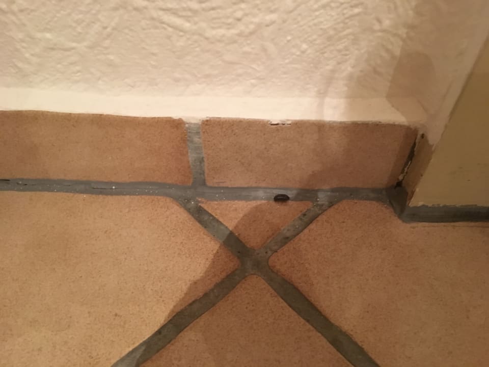 Zimmer Hotel Zur Hahnmühle