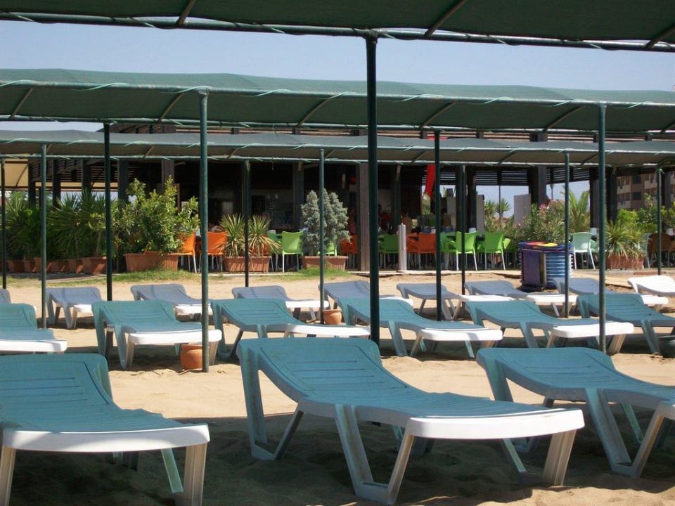 Liegen am Strand Hane Family Resort