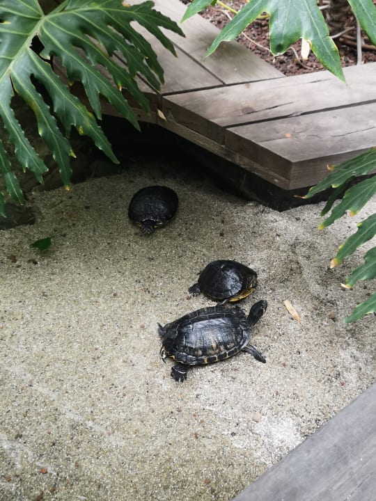 Sonstiges Lopesan Baobab Resort