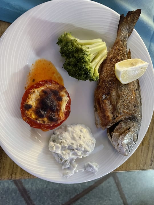 Gastro Granada Luxury Okurcalar