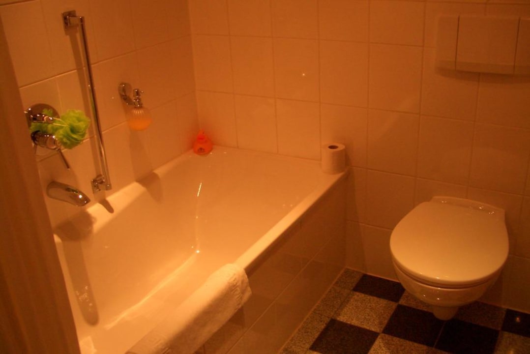 Bad Dorint Herrenkrug Parkhotel Magdeburg