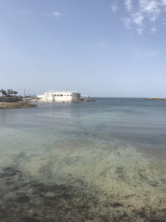 Strand AluaSoul Palma