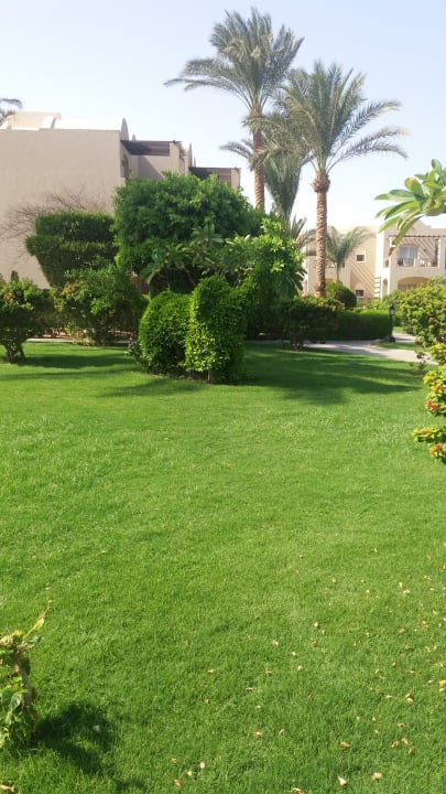 Garten Jaz Makadi Oasis Resort