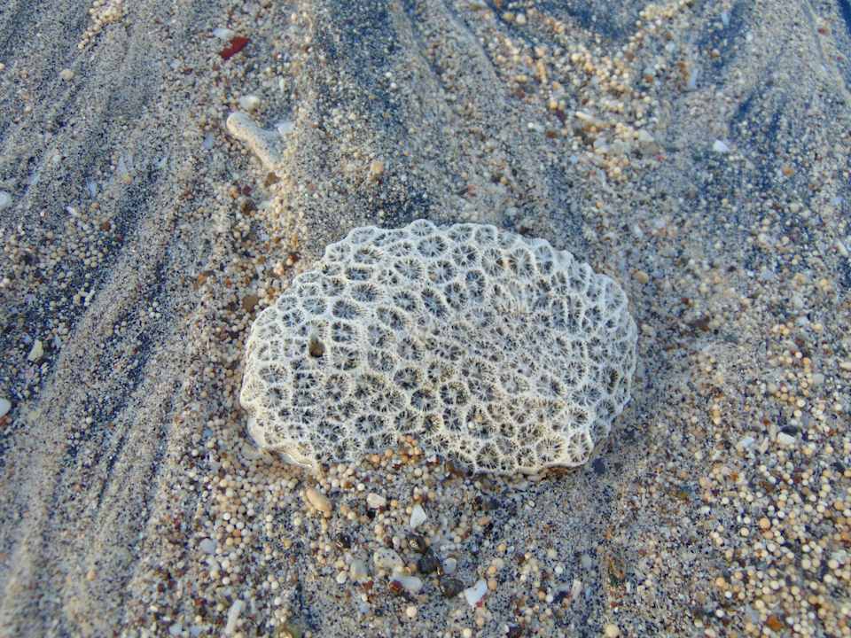 Strand Amber Lombok Beach Resort