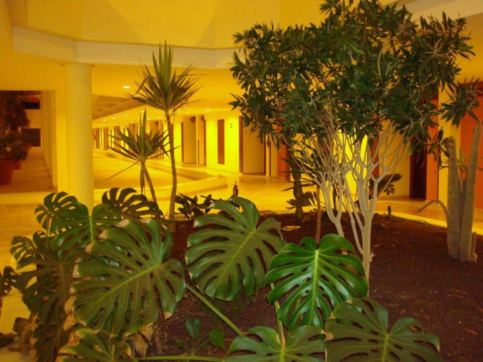 Gang erster Stock SBH Hotel Costa Calma Palace