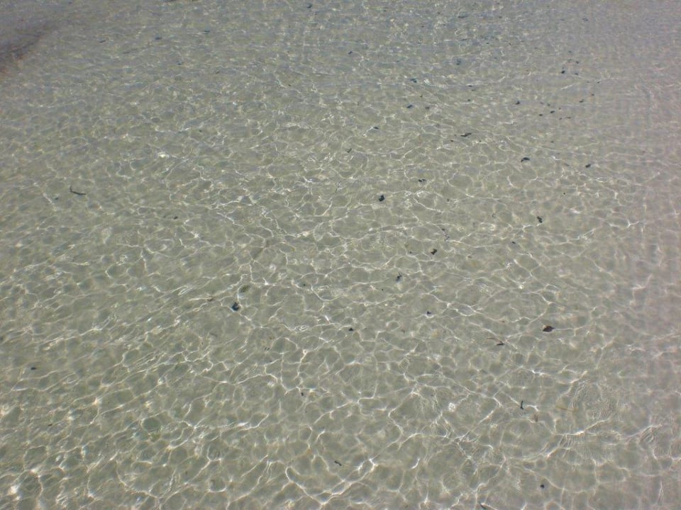 Strand Hotel Brisas del Caribe