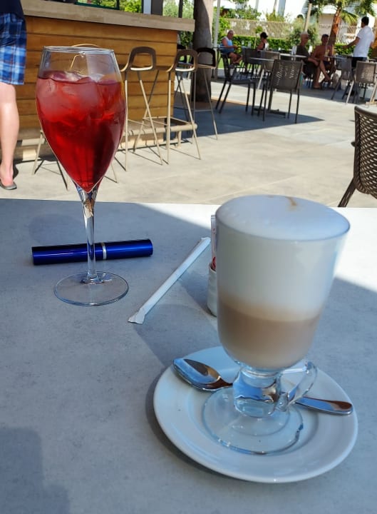 Gastro Acanthus Cennet Barut Collection