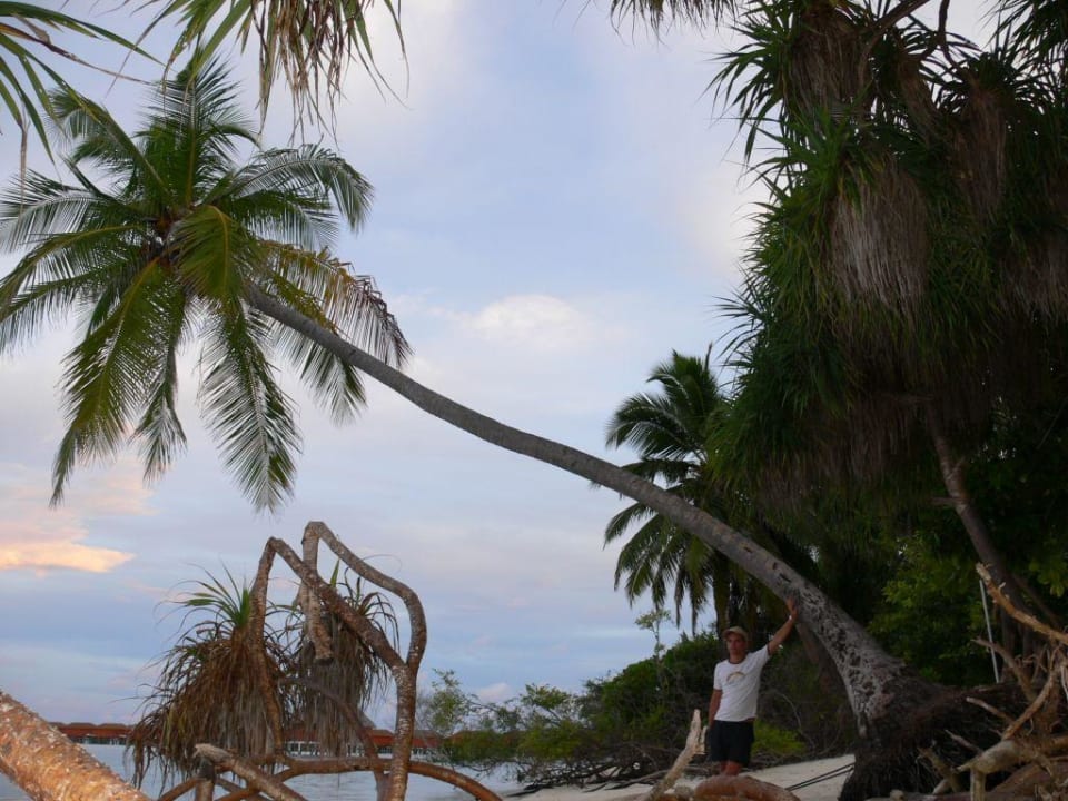 Strand Meeru Maldives Resort Island