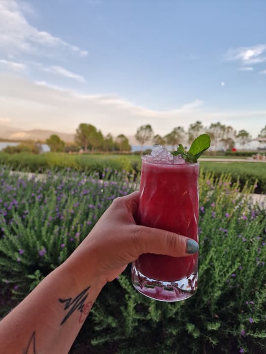 Gastro Anda Barut Collection