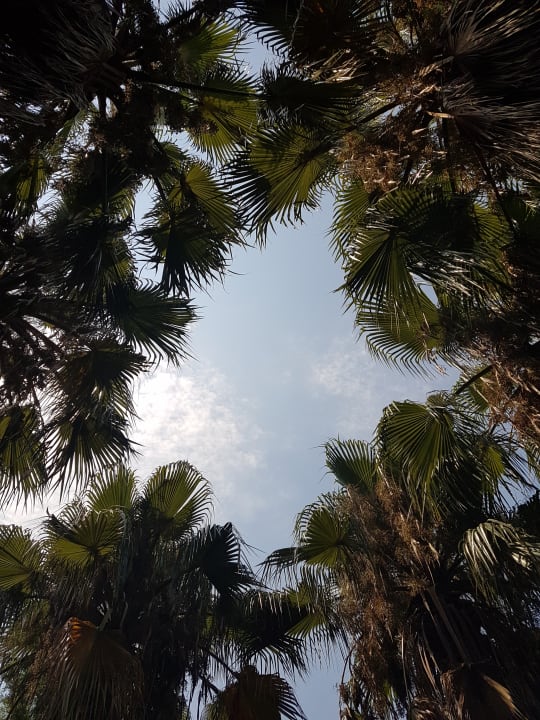 Ausblick Hotel Gardenia Beach