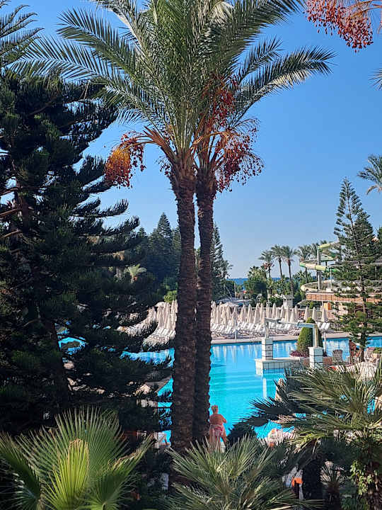 Pool Hotel Delphin Diva