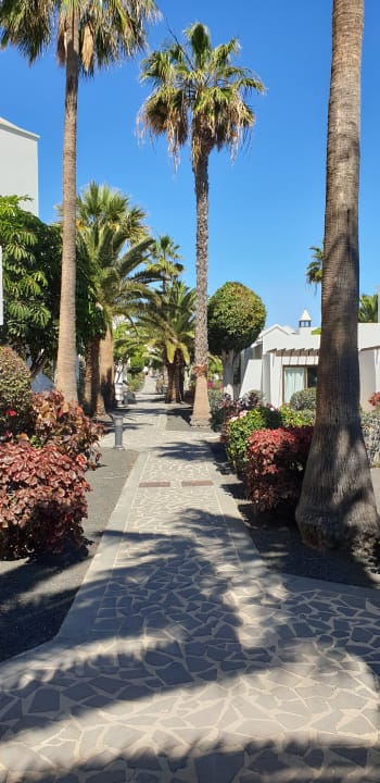 Gartenanlage allsun App.-Hotel Albatros