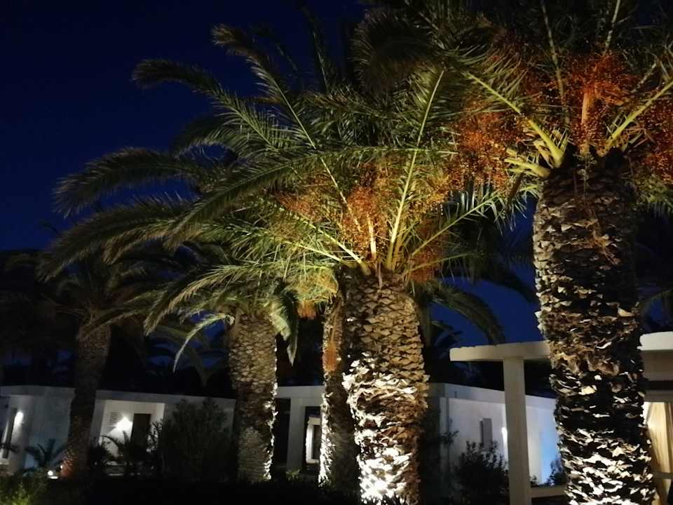 Gartenanlage Civitel Creta Beach