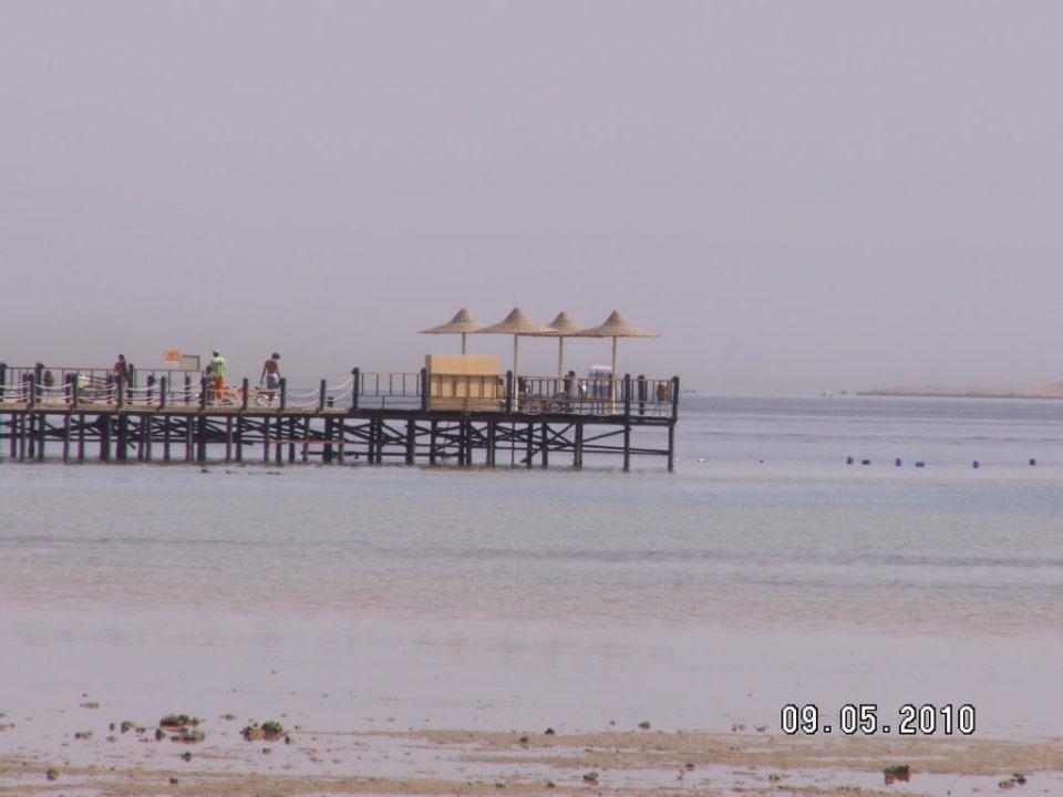 Steg zum Hausriff Stella Beach Resort & Spa Makadi Bay