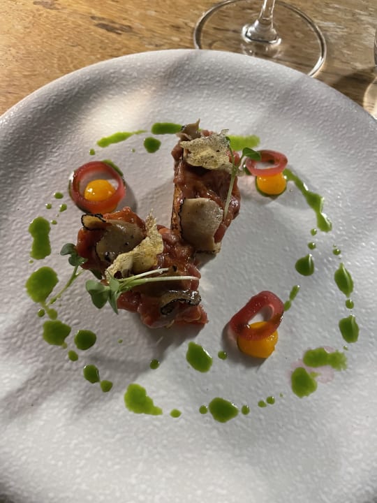 Gastro Acanthus Cennet Barut Collection