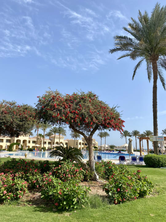 Pool Cleopatra Luxury Resort Makadi Bay