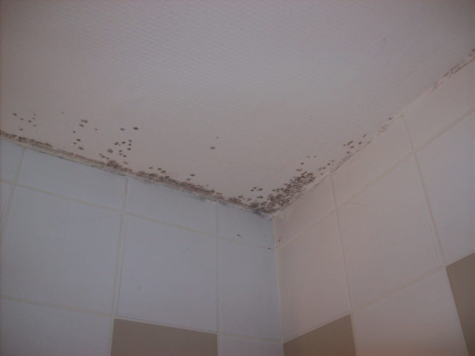 Die Decke über der Wanne/Dusche ibis Styles Hotel Paris Gare de l'Est Château Landon