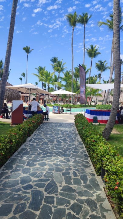 Pool Grand Palladium Punta Cana Resort & Spa