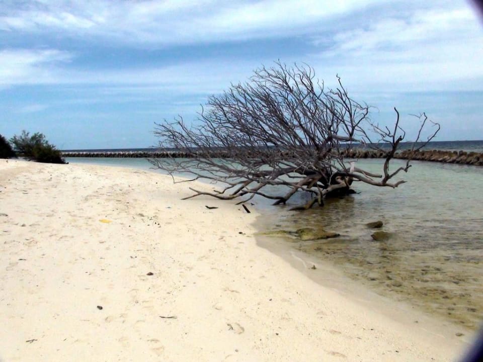 Strand Jacuzzi Villen Kuredu Island Kuredu Island Resort & Spa