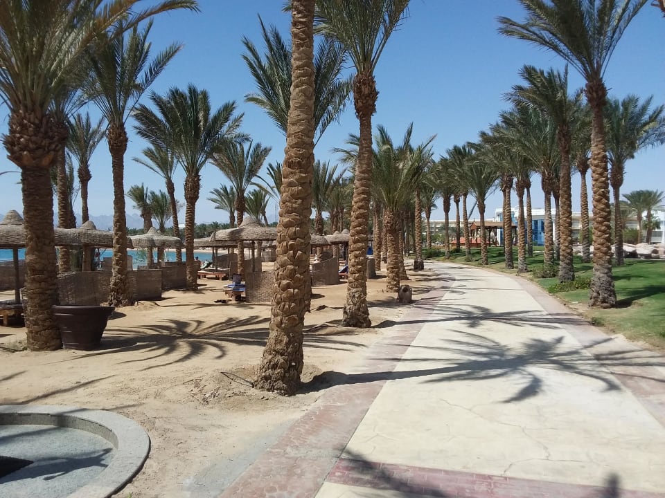 Am Strand  Palm Royale Resort - Soma Bay