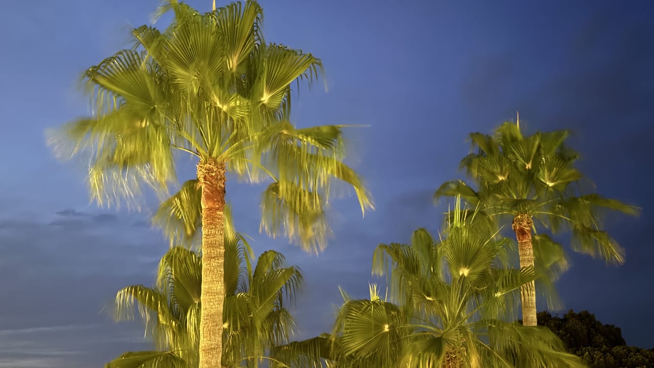 Gartenanlage Hotel Exagon Park