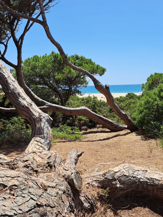 Strand Hipotels Playa la Barrosa