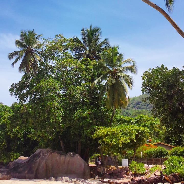 Beau Vallon Berjaya Beau Vallon Bay Resort & Casino