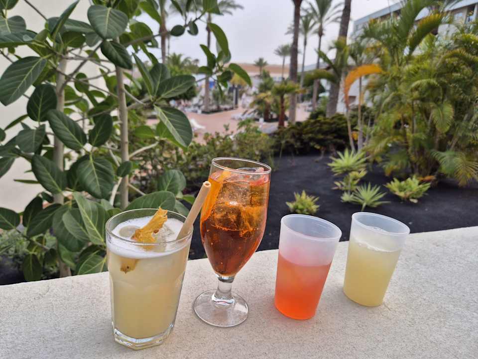 Gartenanlage Iberostar Waves Gaviotas Park