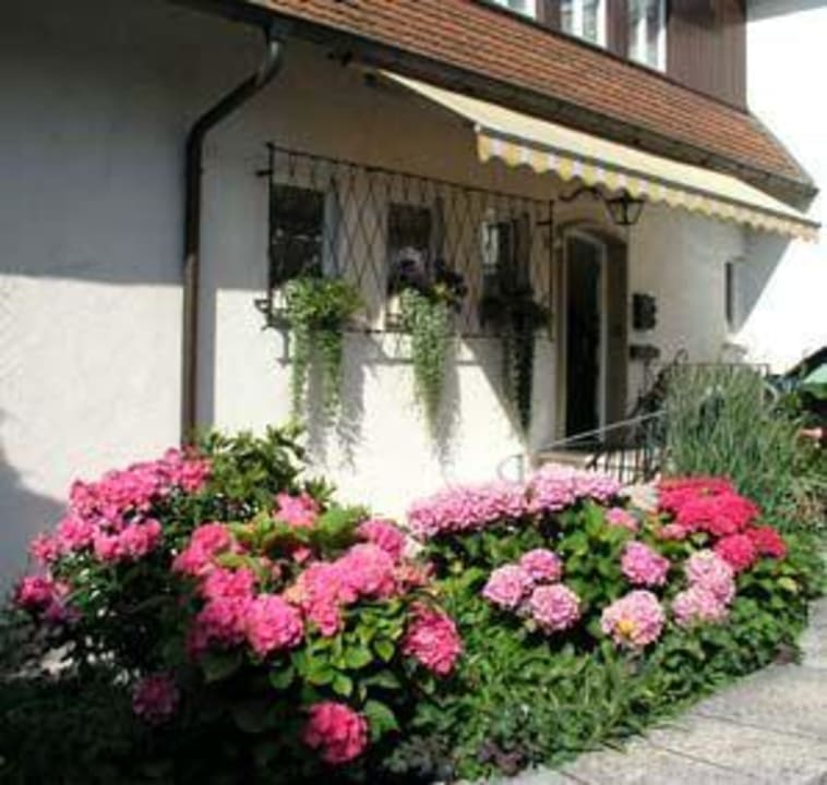Lobby/Eingang Hotel Landhaus Messmer
