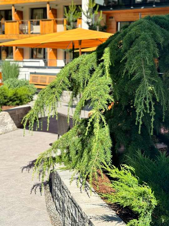 Gartenanlage Active Nature Resort DAS SeeMOUNT