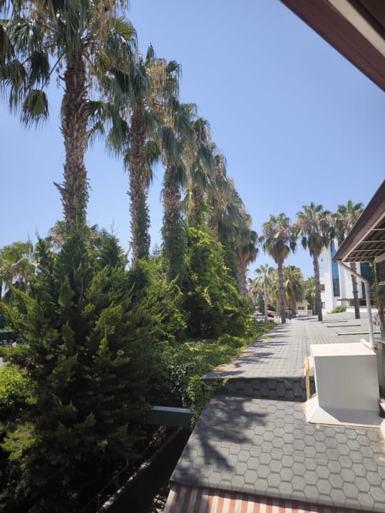 Außenansicht Hane Family Resort