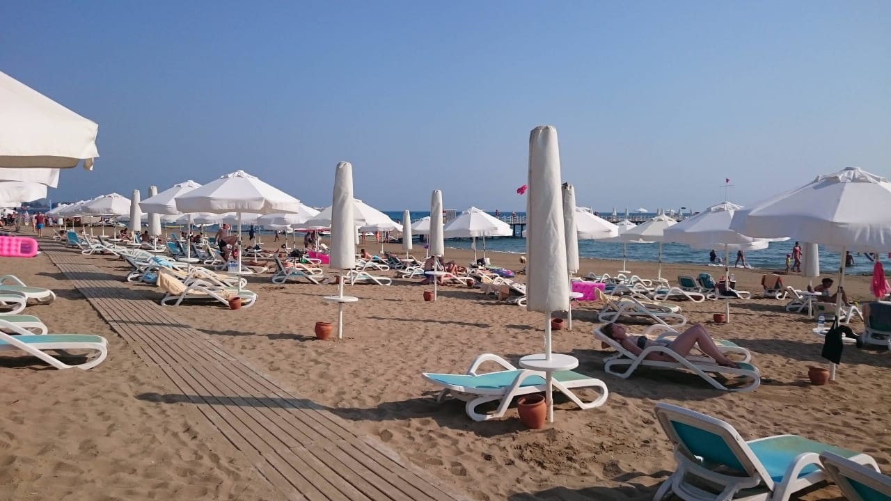 Viele freie Liegen  PALOMA Perissia