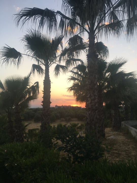 Ausblick Alba Resort Hotel