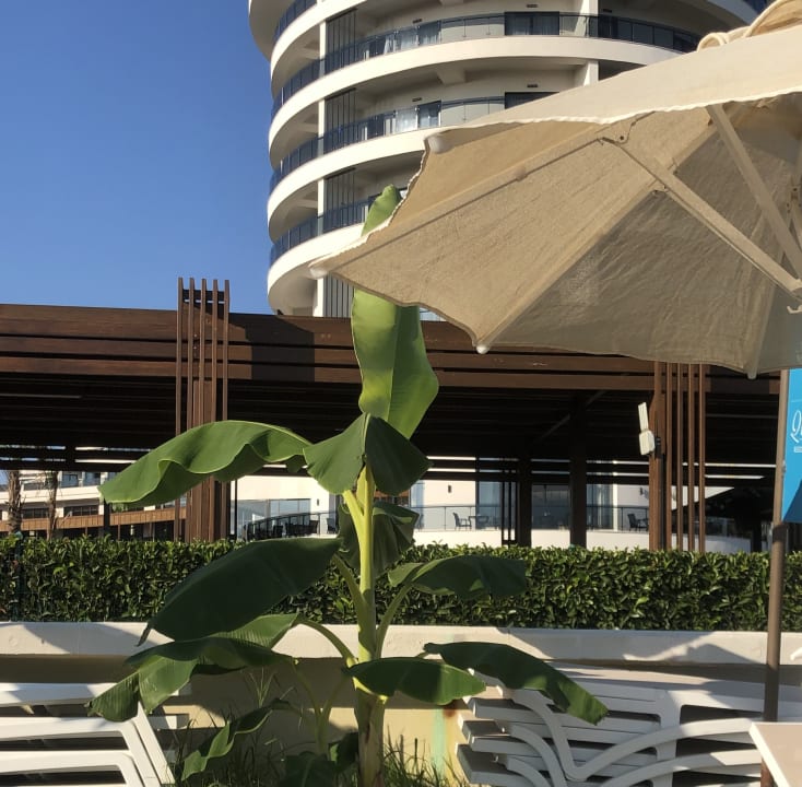 Strand Seaden Quality Resort & Spa