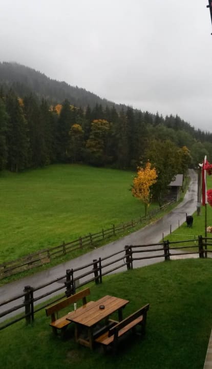 Ausblick Pension Waidmannsruh